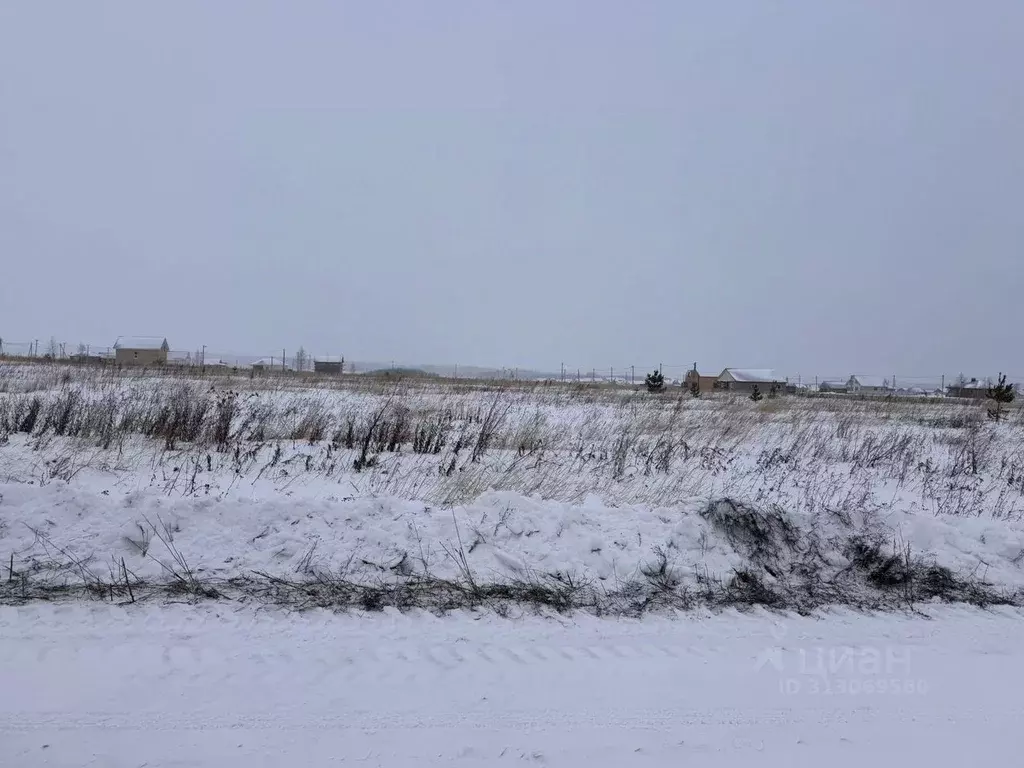 Участок в Татарстан, Арск муниципальное образование, с. Старый Айван ... - Фото 1