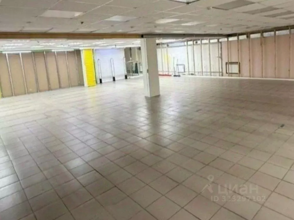 Торговая площадь в Москва Зеленодольская ул., 10/14 (250 м) - Фото 1