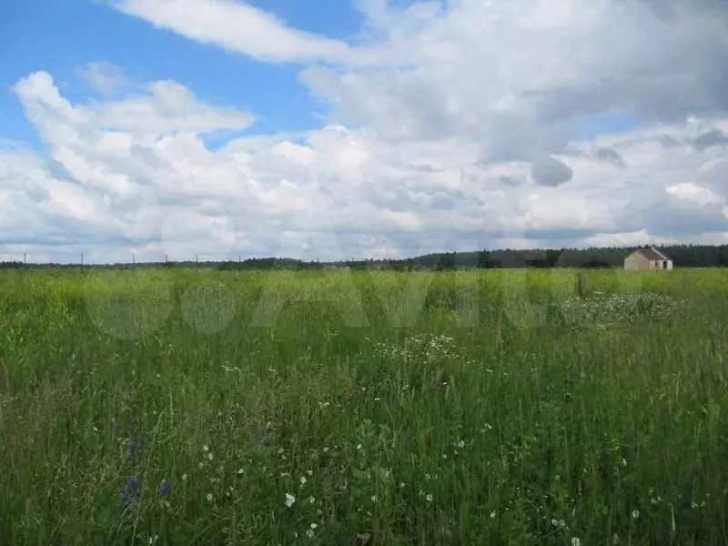 Дом 40 м на участке 5 сот. - Фото 1