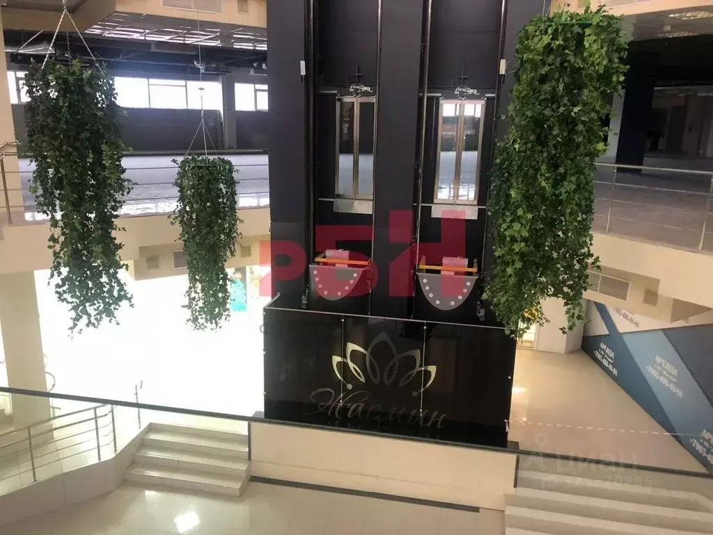 Торговая площадь в Ростовская область, Ростов-на-Дону ул. Доватора, ... - Фото 2