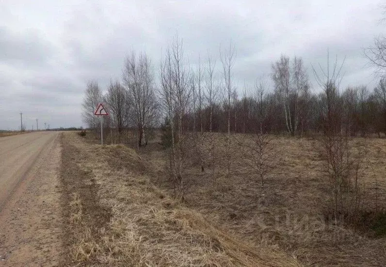 Участок в Московская область, Дмитровский муниципальный округ, д. ... - Фото 1