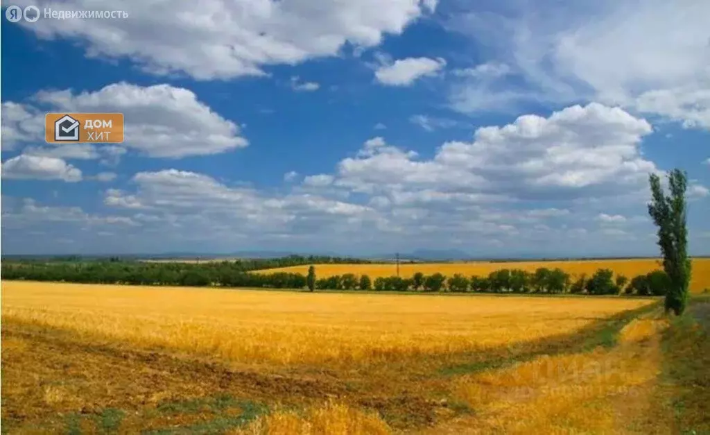 Участок в Сакский район, село Крымское (50.2 м) - Фото 1