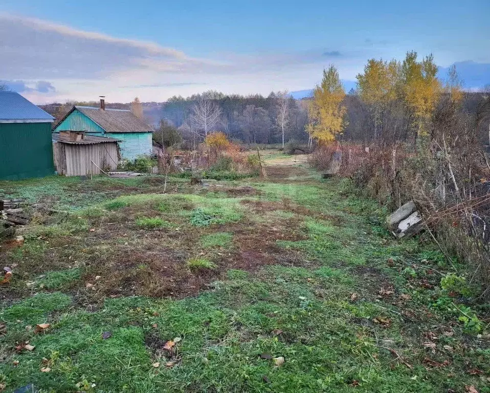 Участок в Воронежская область, Семилукский район, с. Землянск ... - Фото 1