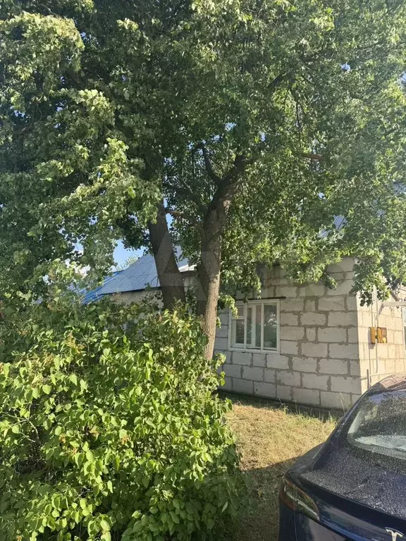 Дом 65 м на участке 40 сот. - Фото 0