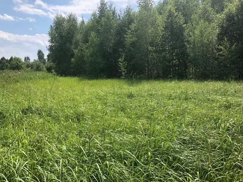 Участок в Московская область, Можайский муниципальный округ, д. ... - Фото 1