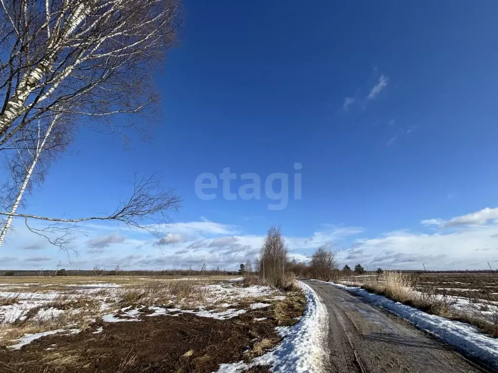 Участок в Псковская область, Псковский район, Ядровская волость, д. ... - Фото 1