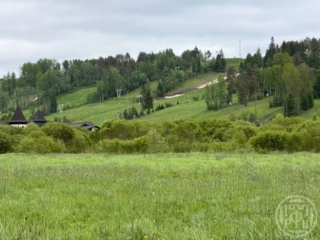 Участок в Ленинградская область, Приозерский район, Красноозерное ... - Фото 1