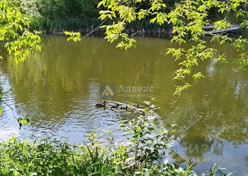 Дом в Тюменская область, Тюменский муниципальный округ, Архитектор СНТ ... - Фото 2