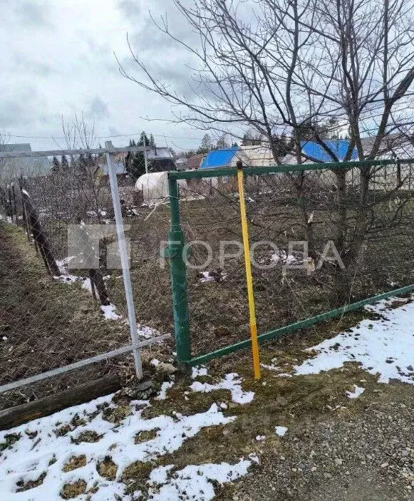 Участок в Томская область, Томский район, д. Кисловка Луговая ул. (4.0 ... - Фото 1