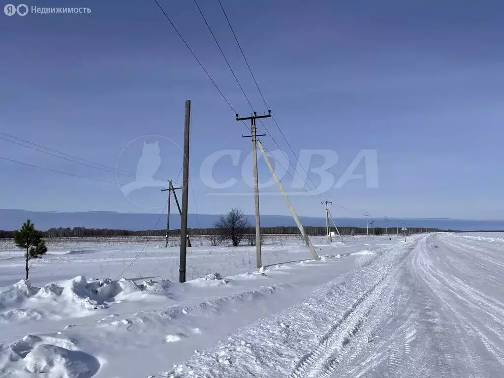 Участок в Тюменский муниципальный округ, село Каменка (10 м) - Фото 2