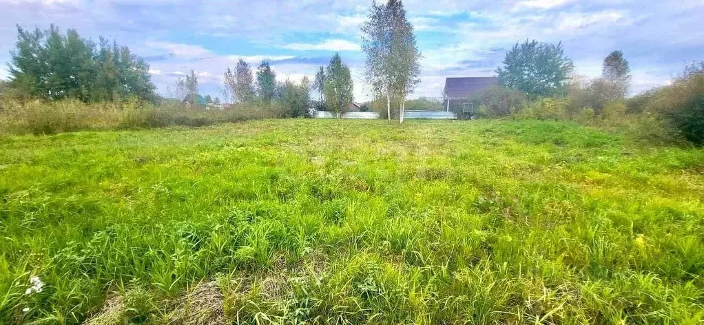 Участок в Новосибирская область, Колыванский район, Вилана садовое ... - Фото 1