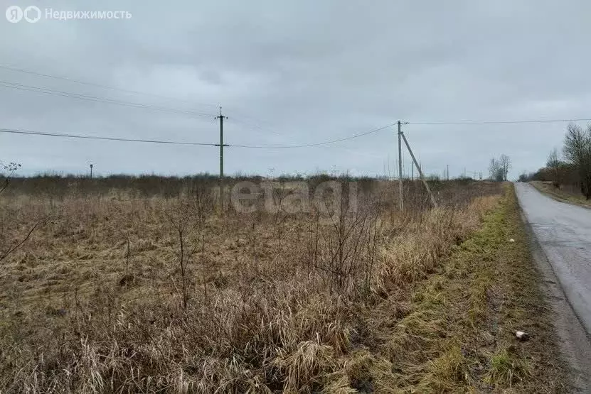 Участок в Псковский район, Завеличенская волость, деревня Борисовичи ... - Фото 2