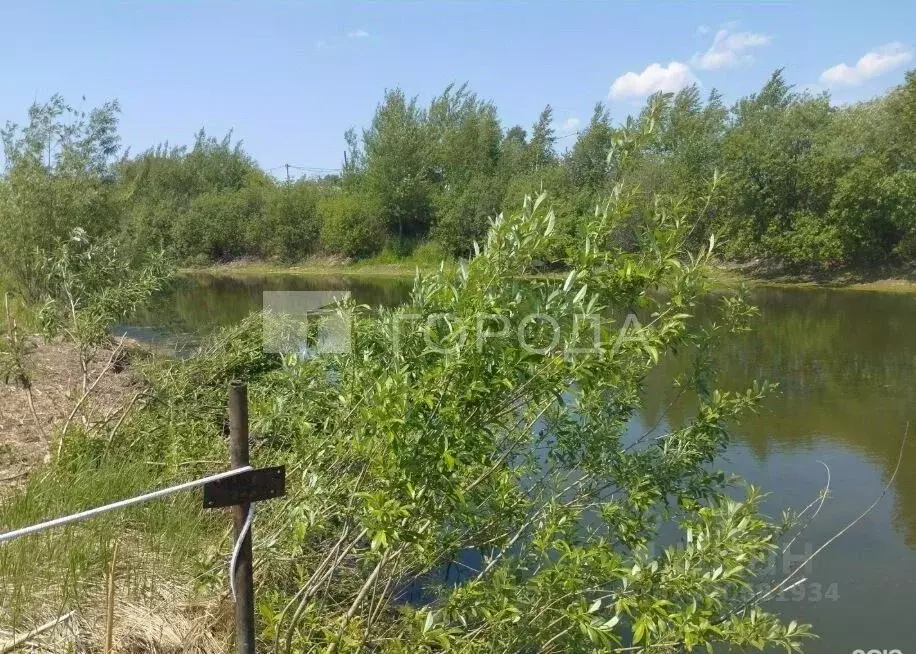 Участок в Новосибирская область, Новосибирский район, Толмачевский ... - Фото 0