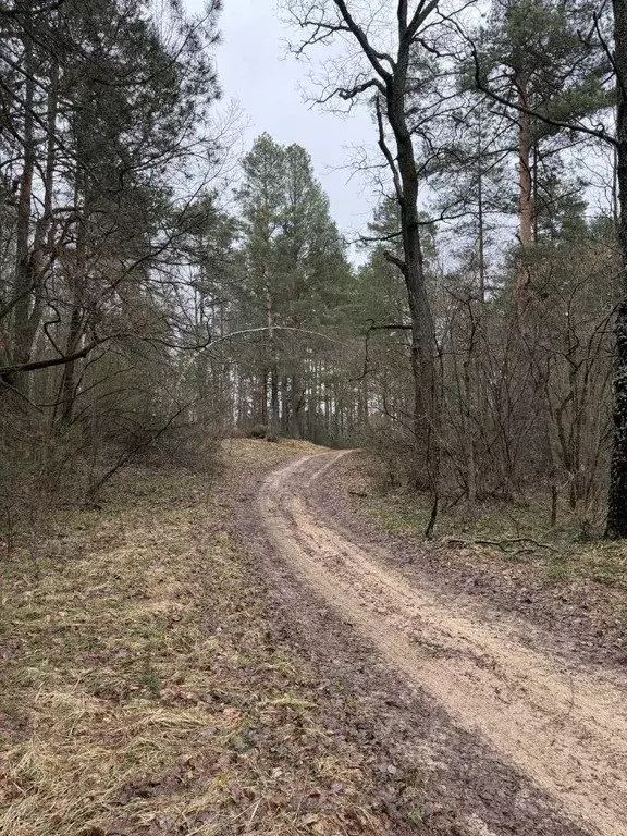 Участок, 15 сот., 0 - Фото 1