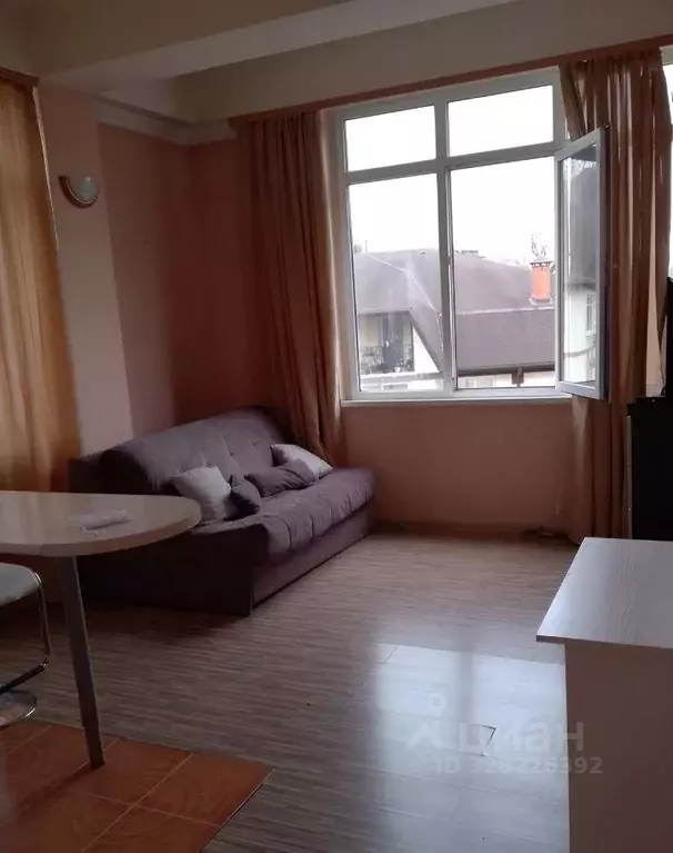 1-к кв. Краснодарский край, Сочи городской округ, с. Раздольное ул. ... - Фото 2