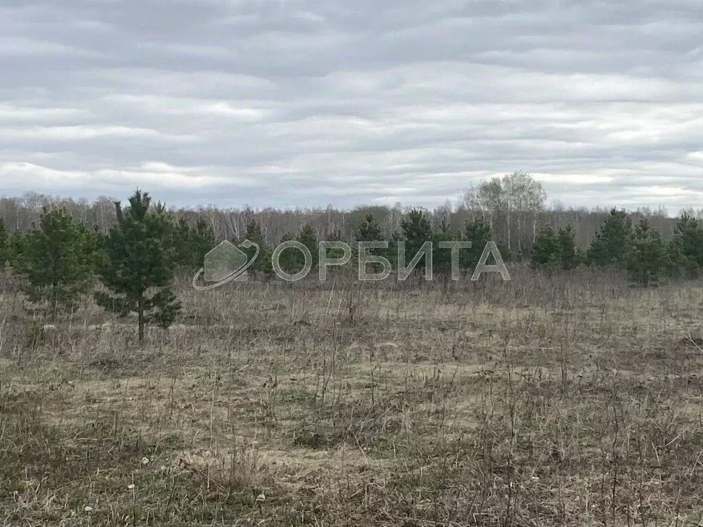 Участок в Тюменская область, Тюменский район, с. Горьковка Сибирская ... - Фото 0