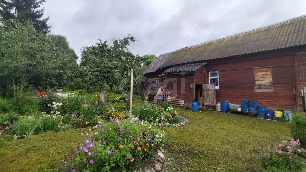 Дом в Костромская область, Нерехта ул. Тупицино, 27 (33 м) - Фото 1