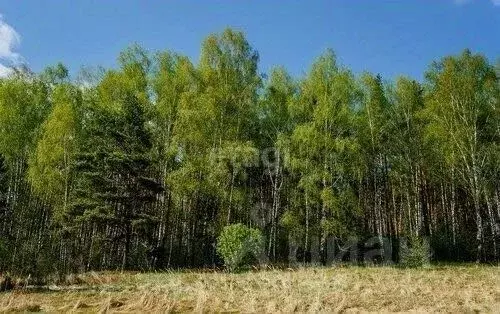 Участок в Алтайский край, Бийский район, с. Лесное  (10.4 сот.) - Фото 0