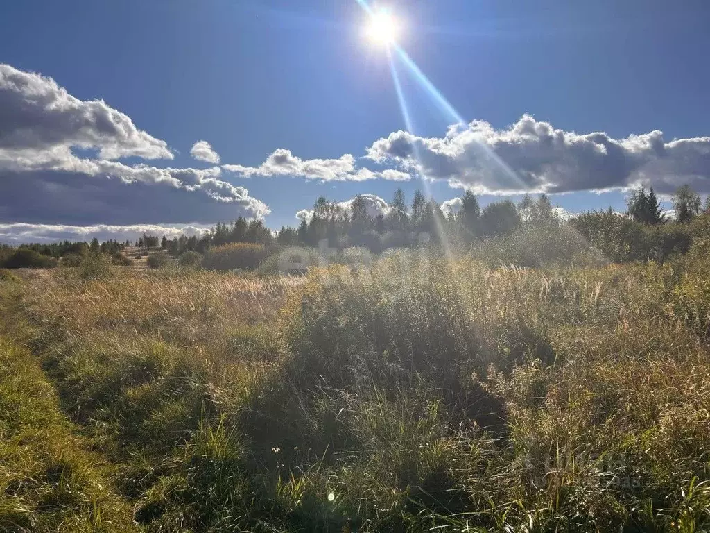 Участок в Костромская область, Нерехта ул. Фадеева (10.0 сот.) - Фото 0