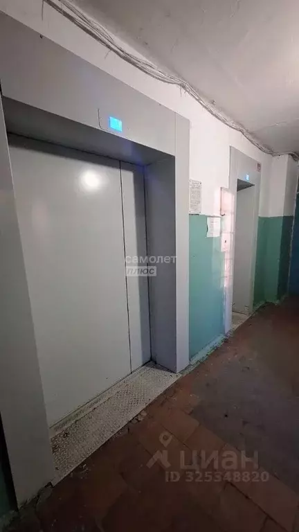 1-к кв. Липецкая область, Липецк ул. Ушинского, 7 (24.5 м) - Фото 2