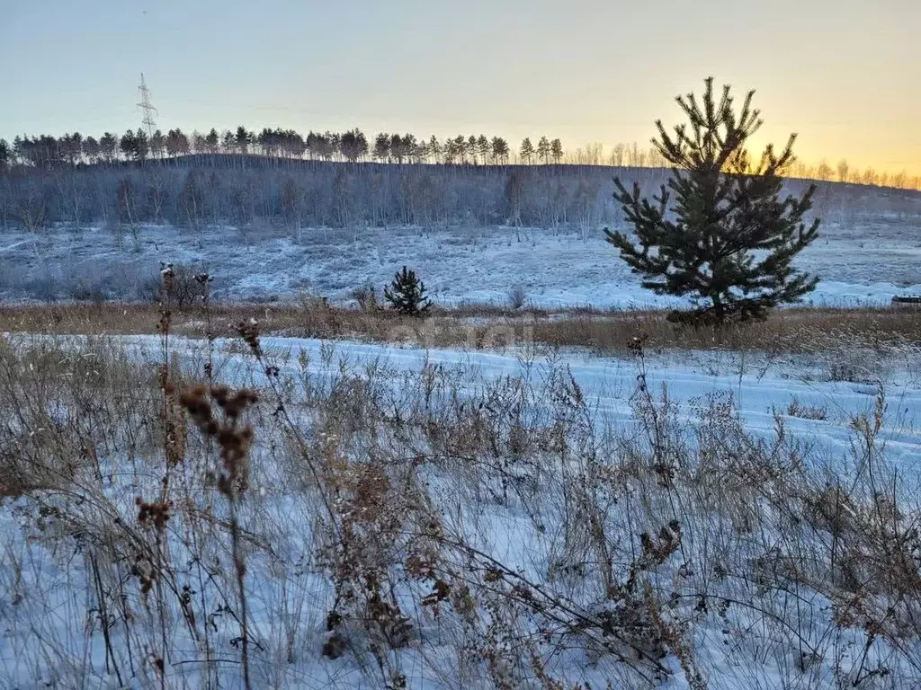 Участок в Забайкальский край, Читинский район, с. Засопка, Молодежный ... - Фото 0