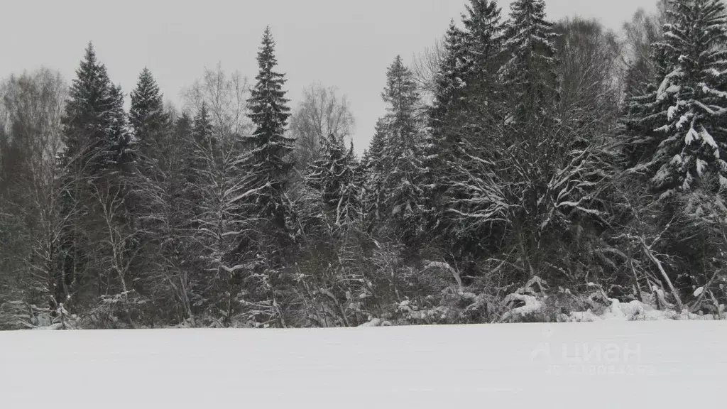 Участок в Московская область, Рузский муниципальный округ, д. Филатово ... - Фото 1