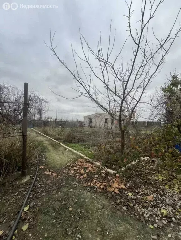 Участок в Наримановский район, село Старокучергановка (11.5 м) - Фото 2