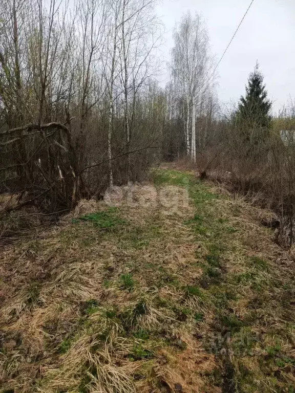 Участок в Московская область, Орехово-Зуевский городской округ, Мечта ... - Фото 1