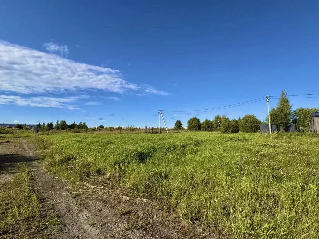 Участок в Тульская область, Ясногорский район, Ревякинское с/пос, с. ... - Фото 2