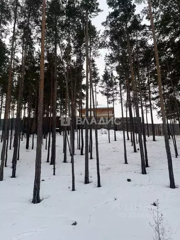 Участок в Бурятия, Улан-Удэ ул. Пежемского (7.6 сот.) - Фото 1