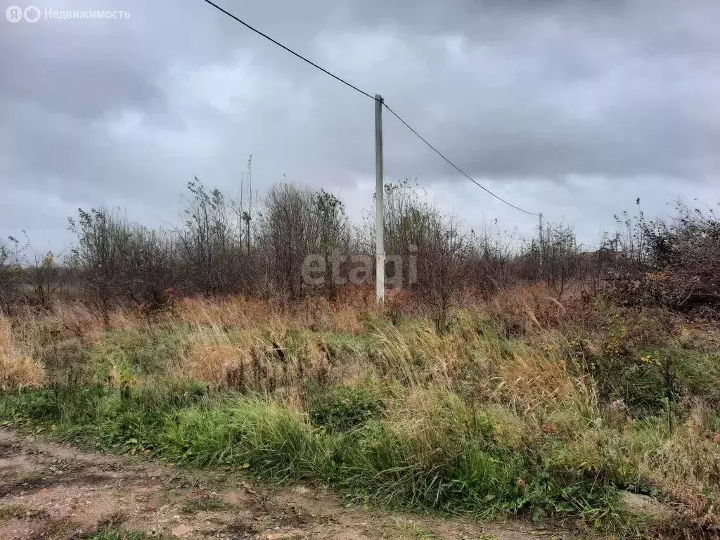 Участок в Калининградская область, Гурьевский муниципальный округ, ... - Фото 1