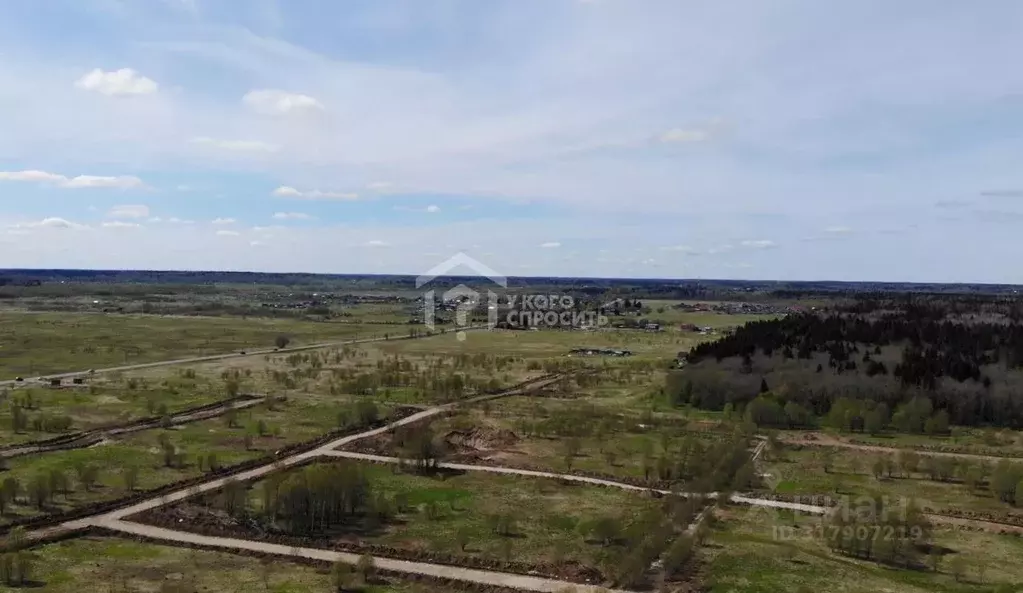 Участок в Ленинградская область, Ломоносовский район, Лопухинское ... - Фото 1