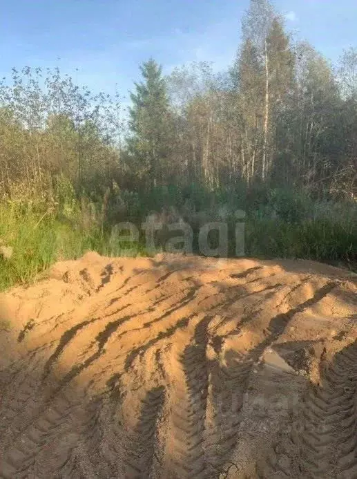 Участок в Вологодская область, Шограш садоводческое товарищество  (6.0 ... - Фото 1