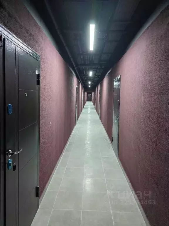 Помещение свободного назначения в Краснодарский край, Анапа ул. ... - Фото 2