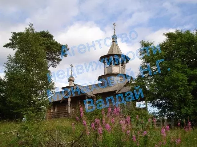 Участок в Новгородская область, Валдайский район, д. Плав  (200.0 ... - Фото 1