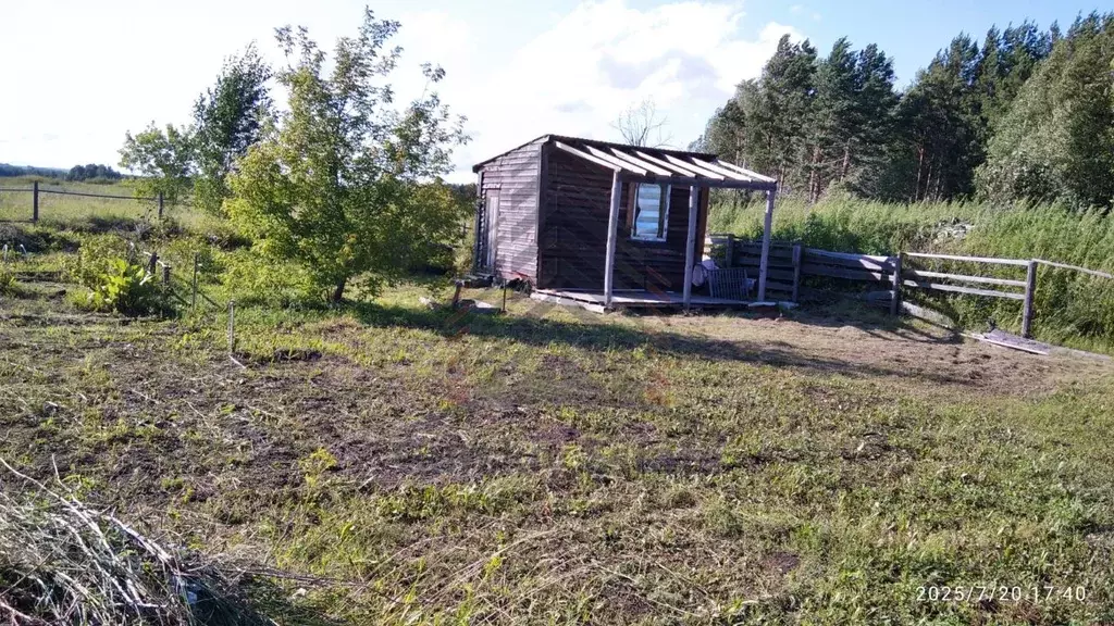 Участок в Красноярский край, Емельяновский муниципальный округ, с. ... - Фото 1