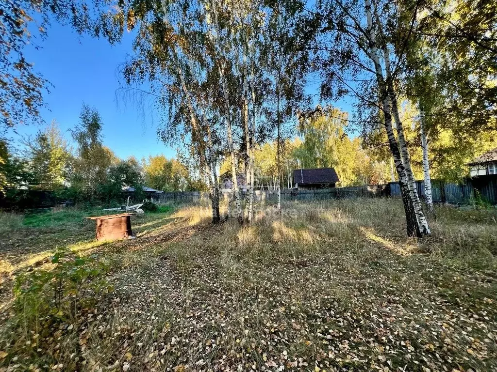 Участок в Московская область, Раменский городской округ, д. ... - Фото 1