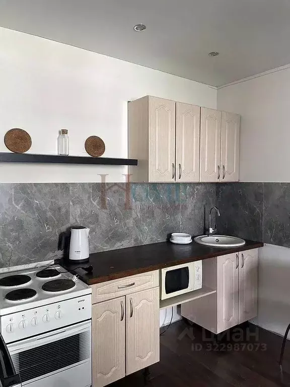 Студия Новосибирская область, Новосибирск ул. Татьяны Снежиной, 29/1 ... - Фото 2