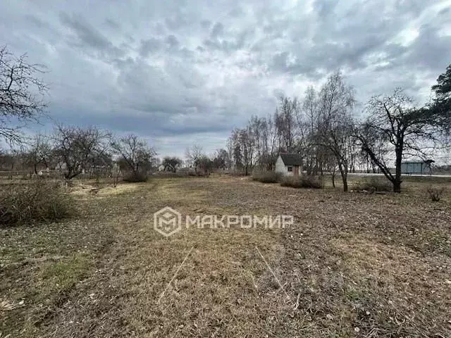 Участок в Брянская область, Брянский район, Мичуринское с/пос, ... - Фото 2