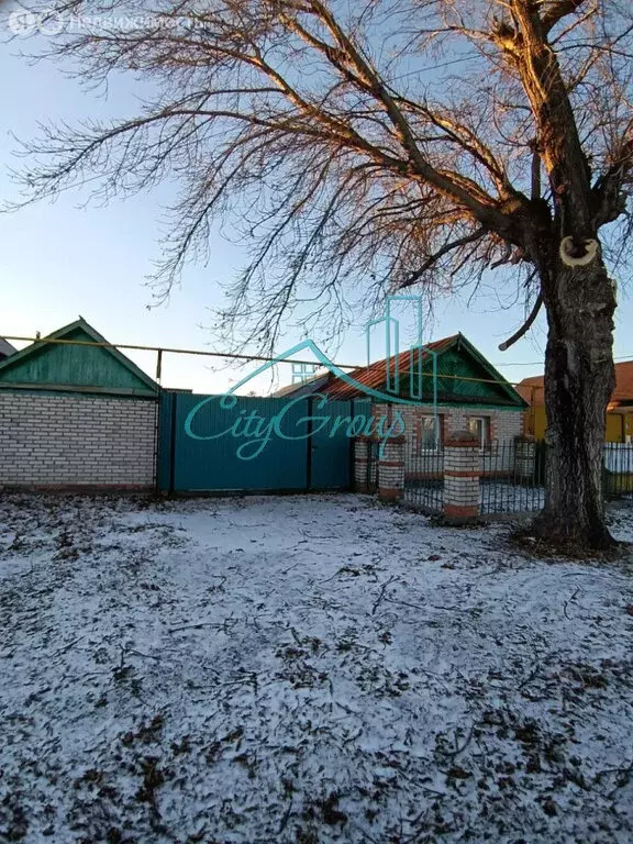 Дом в село Кумак, улица Дмитриева, 22 (61 м) - Фото 1