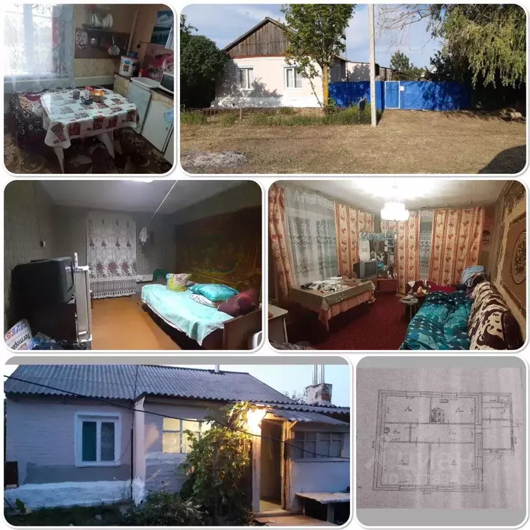 Дом в Саратовская область, Самойловка рп ул. Молодежная (66 м) - Фото 0