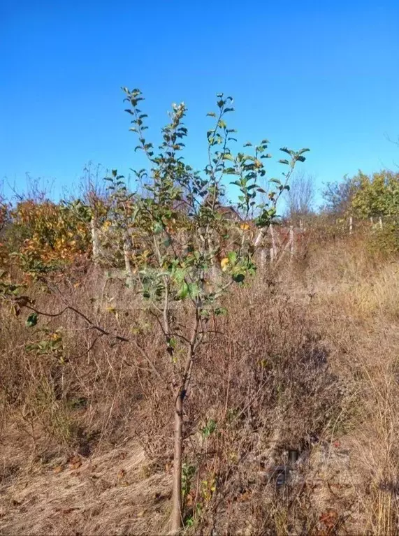 Участок в Севастополь Алькадар садоводческое товарищество, 4 (5.0 ... - Фото 1