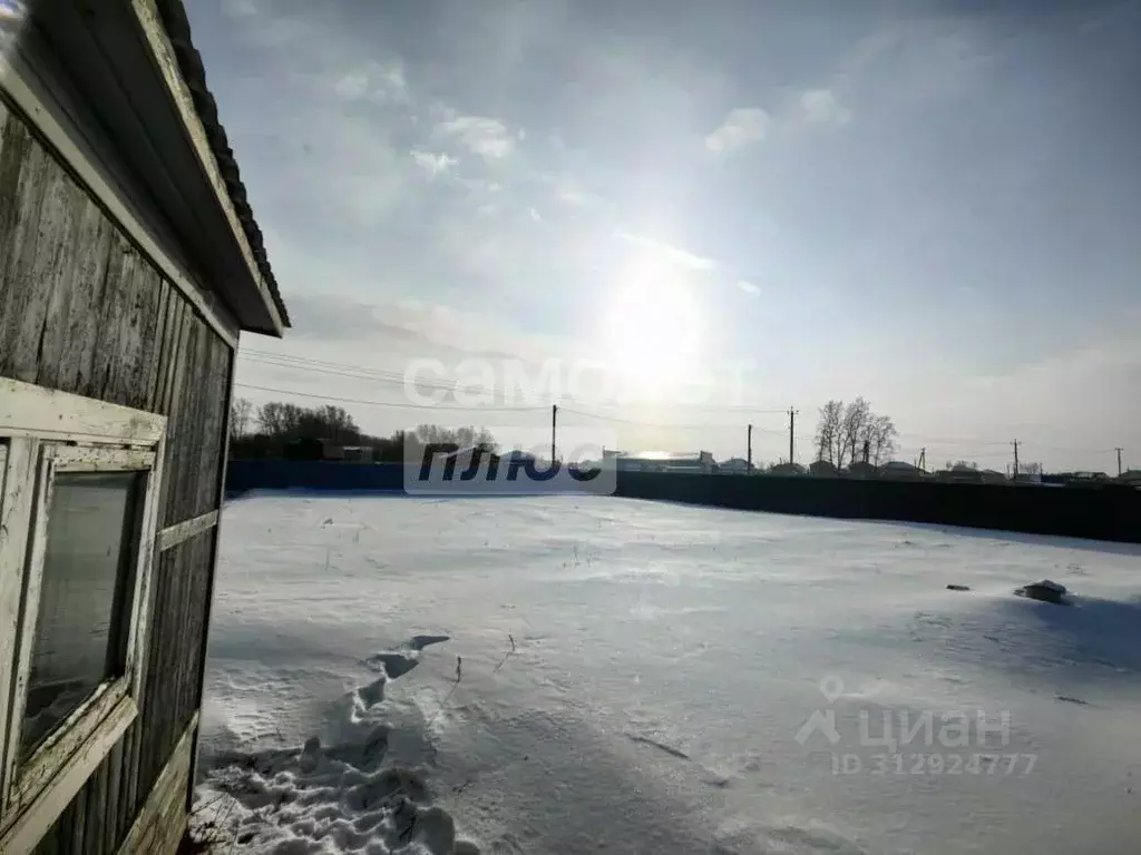 Участок в Новосибирская область, Новосибирский район, Морской ... - Фото 1