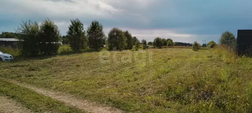 Участок в Ленинградская область, Волосовский район, Клопицкое с/пос, ... - Фото 1