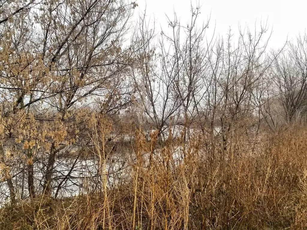 Участок в Карайганово, улица Агидель (8 м) - Фото 2