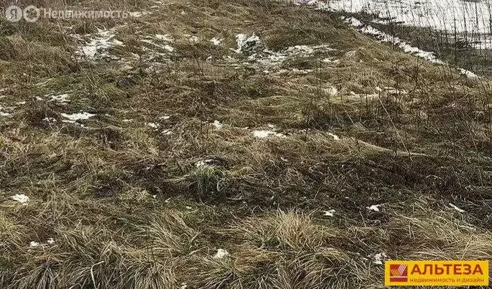 Участок в Калининградская область, Гурьевский муниципальный округ, ... - Фото 2