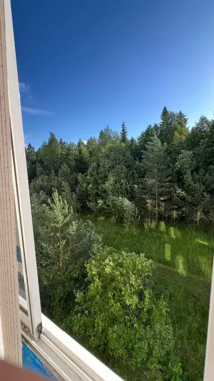 1-к кв. Пермский край, Краснокамский городской округ, Оверята рп ул. ... - Фото 0