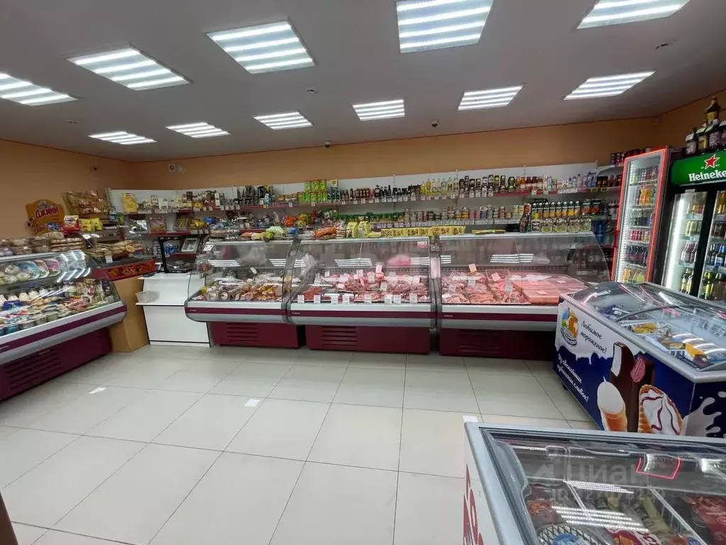 Торговая площадь в Пермский край, Пермский муниципальный округ, д. ... - Фото 2