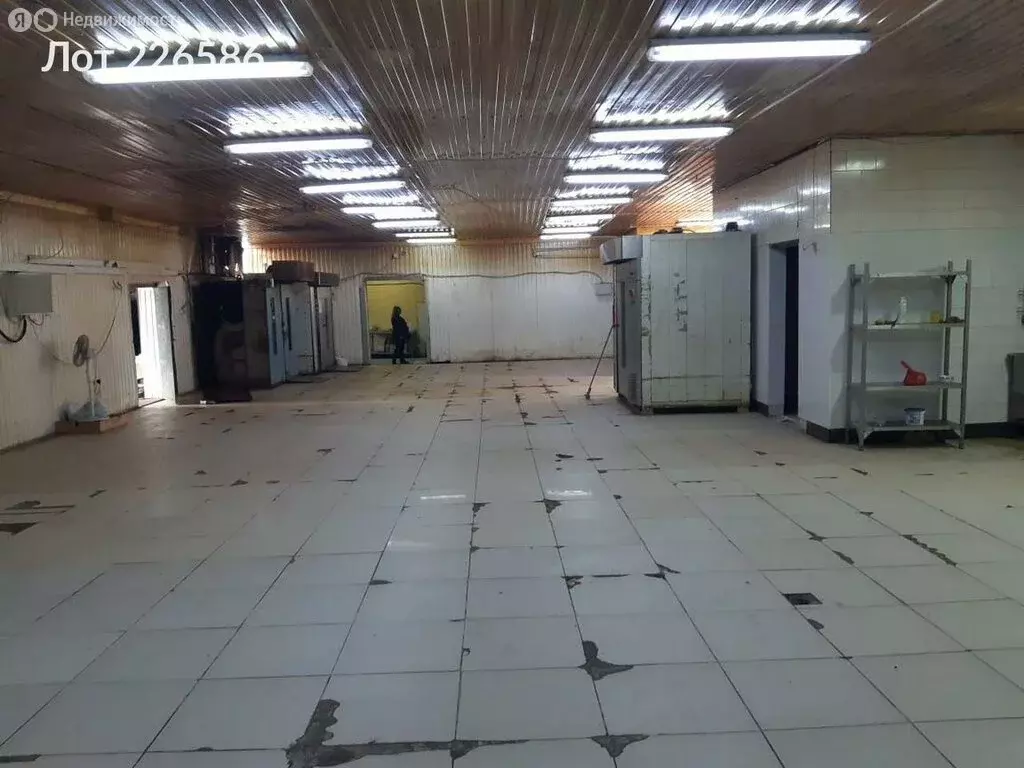 Помещение свободного назначения (300 м) - Фото 2