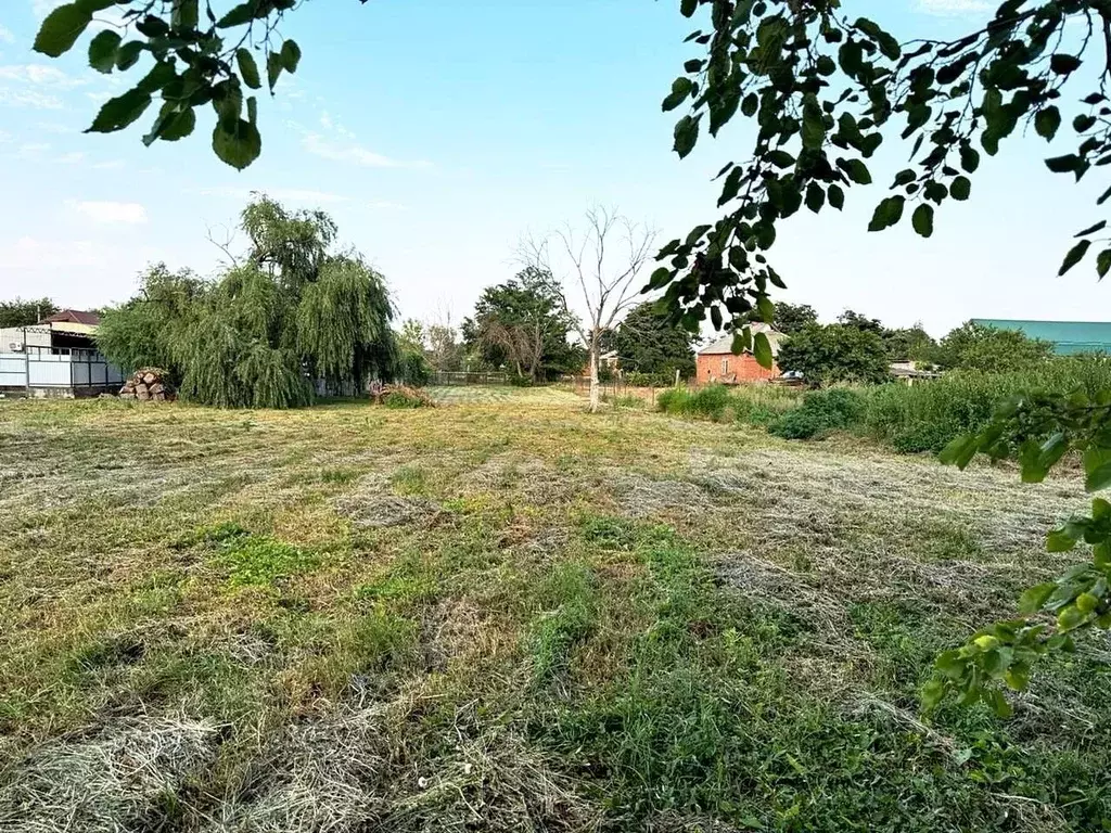 Участок в Краснодарский край, Тимашевский район, Медведовское с/пос, ... - Фото 2